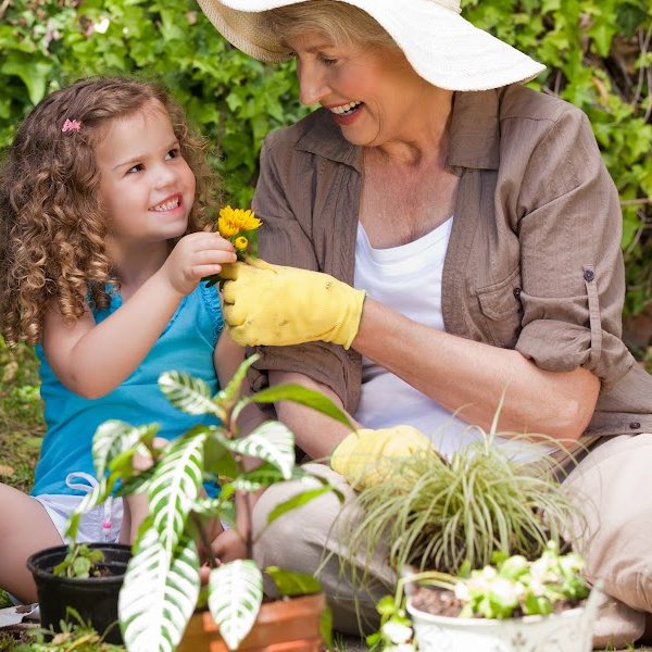 Garden Supplies